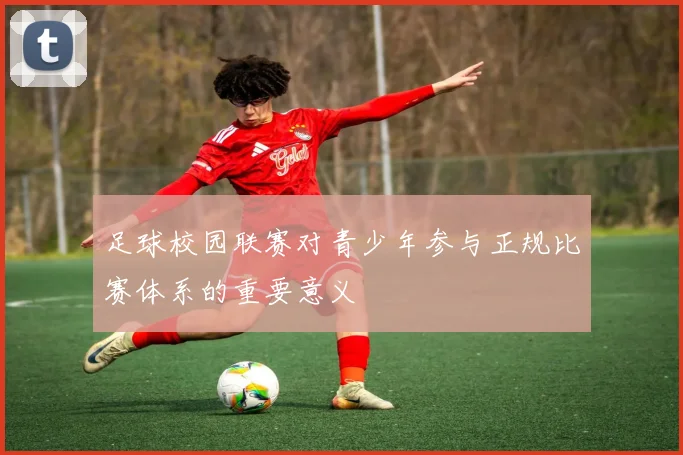 足球校园联赛对青少年参与正规比赛体系的重要意义