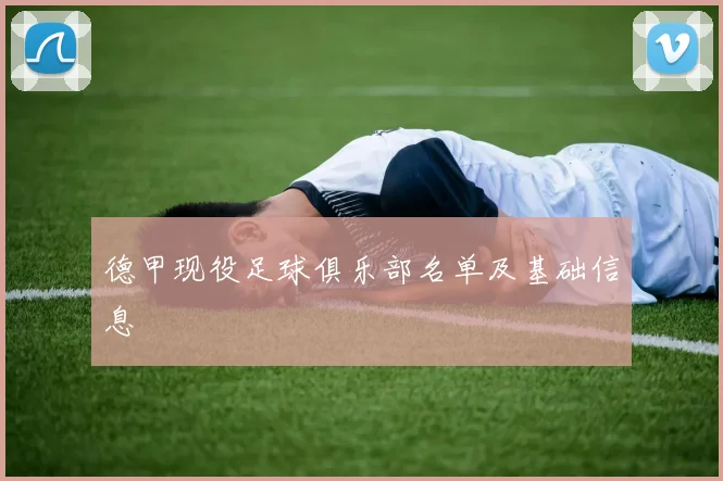 德甲现役足球俱乐部名单及基础信息