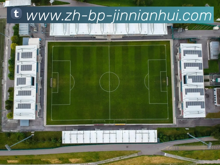 金年会体育平台生态图