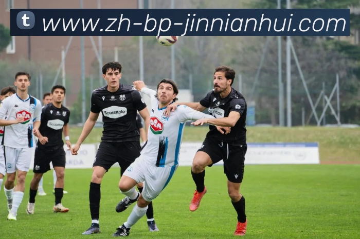 金年会体育APP 封面图